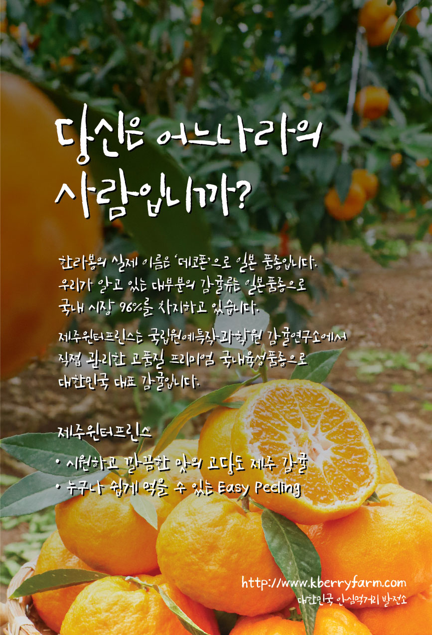 KBerry Farm Advertisement Poster